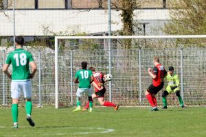 fotoalbums/1743930497_img-9612