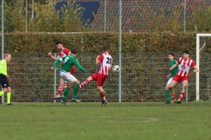 fotoalbums/1762081488_img-8744