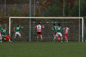 fotoalbums/1762081491_img-8911