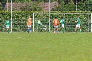 fotoalbums/1778403164_img-6255