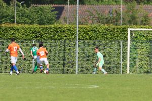 fotoalbums/1778403167_img-6391