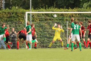fotoalbums/1790501629_img-9455