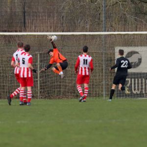fotoalbums/1739098888_img-8359