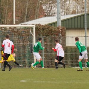 fotoalbums/1739703202_img-8505