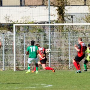 fotoalbums/1743930497_img-9612
