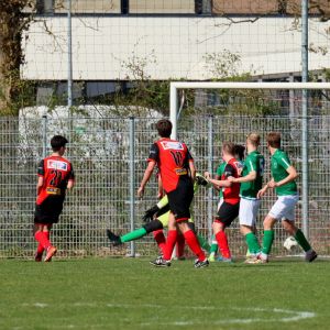 fotoalbums/1743930502_img-9670