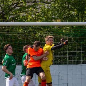 fotoalbums/zaamslag-1-wolfaarsdijk-1-17-