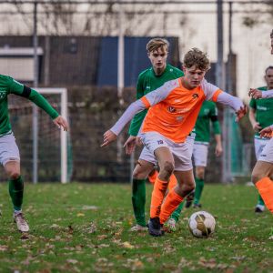 fotoalbums/zaamslag-patrijzen-25-11-23-15-
