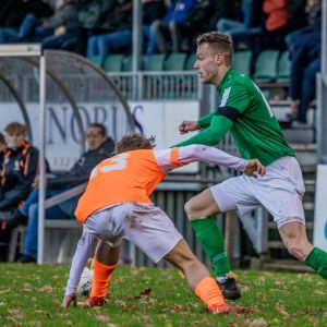 fotoalbums/zaamslag-patrijzen-25-11-23-17-