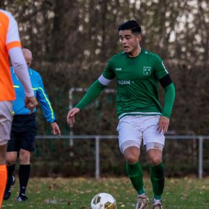 fotoalbums/zaamslag-patrijzen-25-11-23-18-