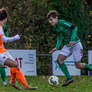 fotoalbums/zaamslag-patrijzen-25-11-23-29-